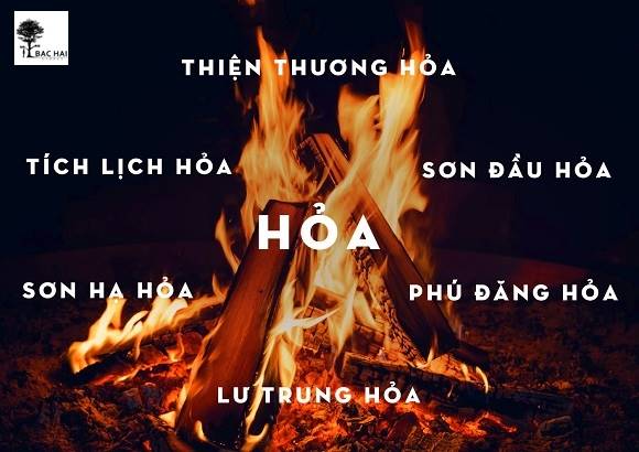 Cây cảnh hợp mệnh Hoả